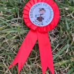 Cocarde de absolvire