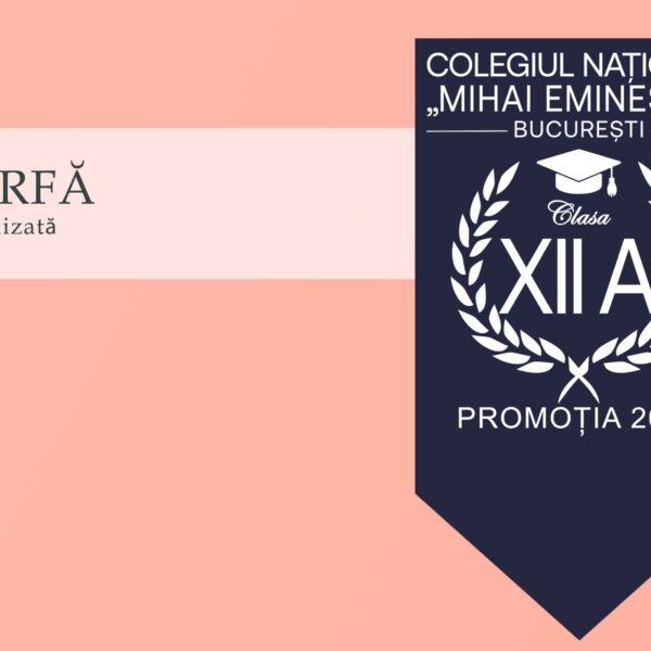 Eșarfa absolvire Albastru Navy